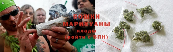 2c-b Бородино