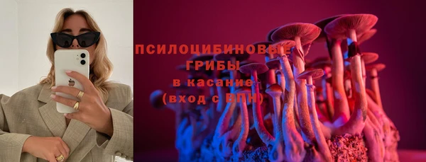 2c-b Бородино