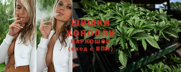 2c-b Бородино