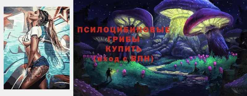 Псилоцибиновые грибы Cubensis  даркнет какой сайт  Воткинск 