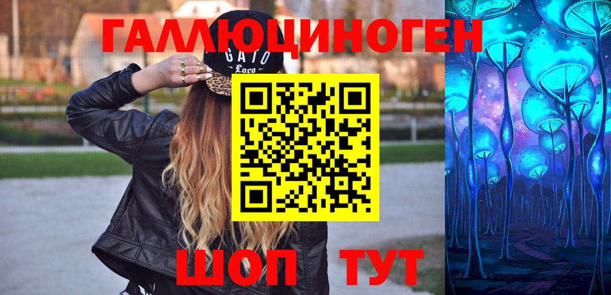 Псилоцибиновые грибы Psilocybine cubensis  Воткинск 